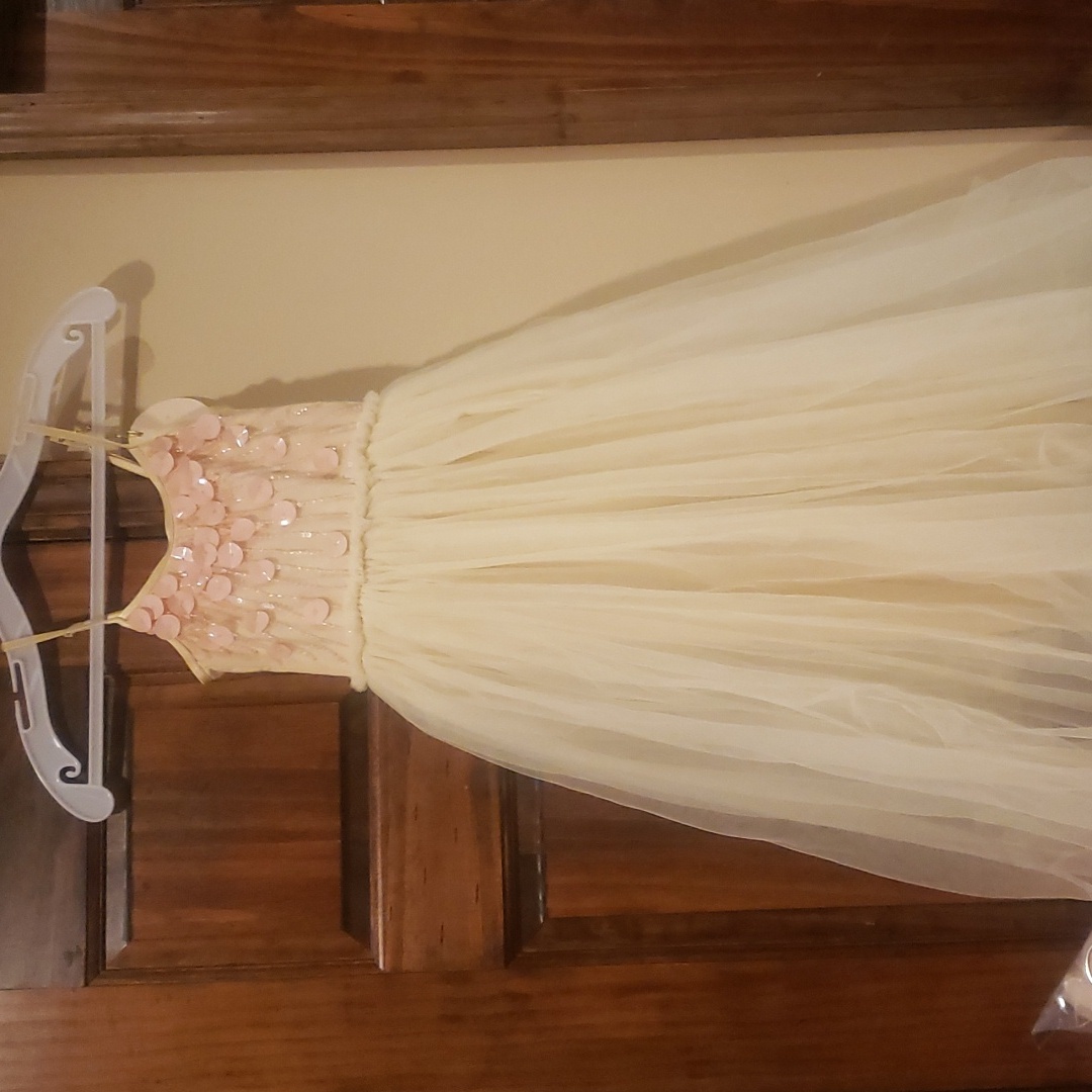 Ttdm Tutu Du Monde Cream Pink Long Dress 4 5